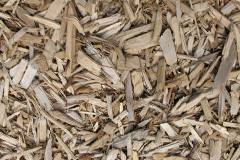 biomass boilers Spalford